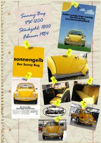 Sunny Bug 1984